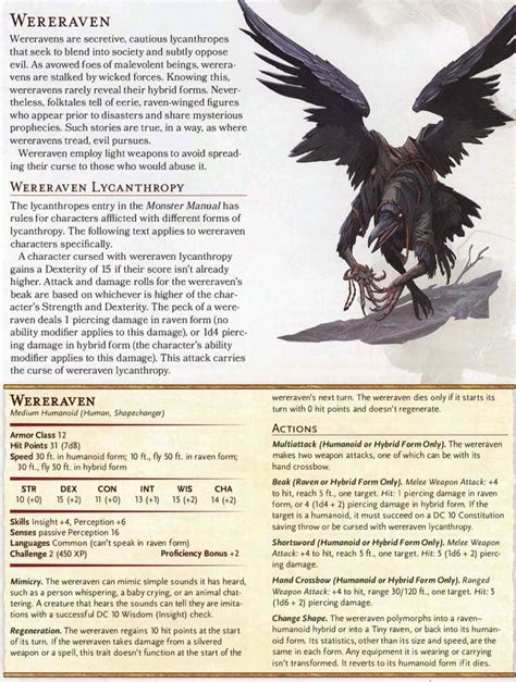 We’ll learn how to prepare for a DnD session featuring these often terrifying staples of the fantasy genre. . Wereraven 5e